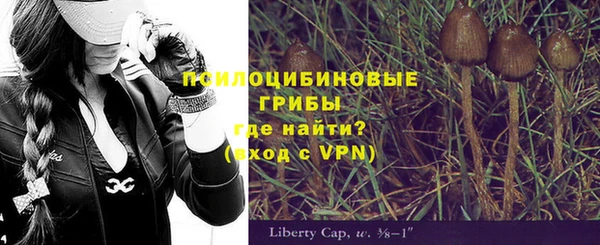 винт Горнозаводск